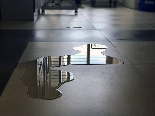 Best 24/7 water damage repair  in Brownsville, OR